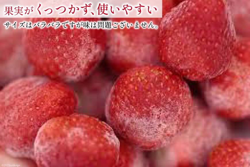 いちご 博多 冷凍あまおう 約500g×2袋 計約1kg [エイチアンドフューチャーズ 福岡県 筑紫野市 21760520] 果物 フルーツ 苺 イチゴ あまおう 冷凍いちご 冷凍苺 果実