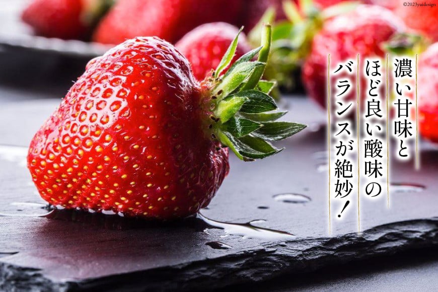 【先行受付】 【3回 定期便 】 いちご 博多 あまおう 約270g×2パック×3回 総計約1.62kg [エイチアンドフューチャーズ 福岡県 筑紫野市 21760526] 果物 フルーツ 苺 農家直