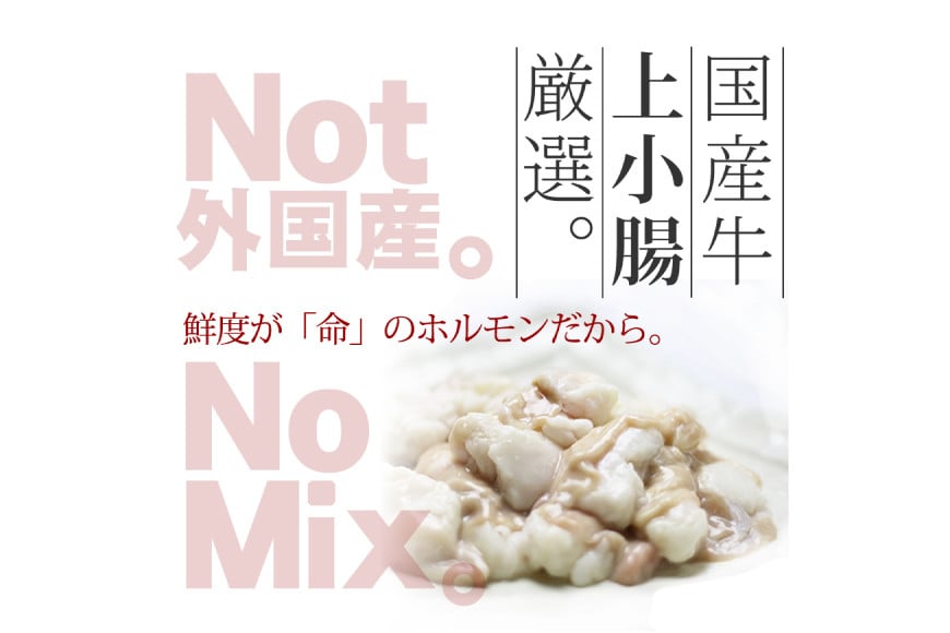 九州味噌もつ鍋 牛もつ 1.05kg 10人前 (九州味噌スープ付) [ベネフィス 福岡県 筑紫野市 21760847] もつ鍋 モツ鍋 もつ モツ 味噌 みそ 博多 福岡 国産 国産牛 ホルモン セット 本場 冷凍