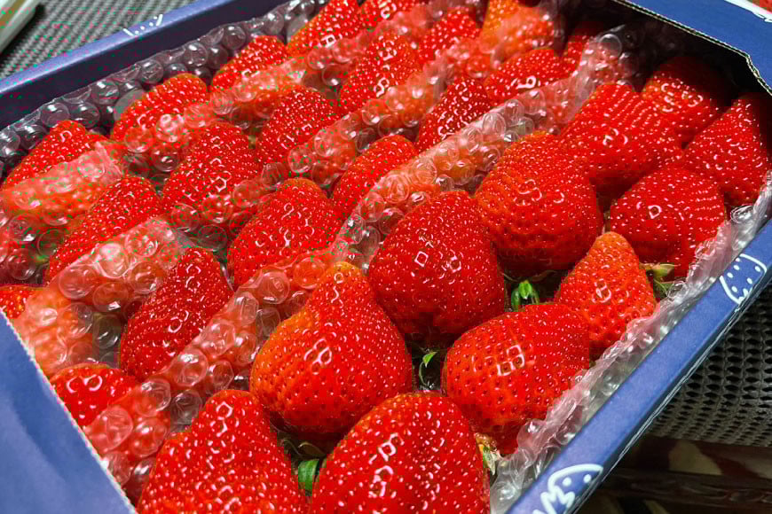 【期間限定発送】 いちご 津田くん農園のあまおう 約1kg [くしだ企画 福岡県 筑紫野市 21761180] 苺 あまおう イチゴ 福岡 期間限定