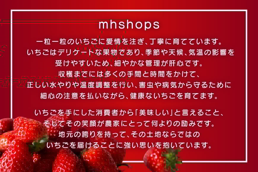 【期間限定発送】 いちご 3回 定期便 福岡県産 完熟 博多 あまおう 270g 2p 総計6p [mhshops 福岡県 筑紫野市 21761226] イチゴ 苺 フルーツ 果物 くだもの 2パック