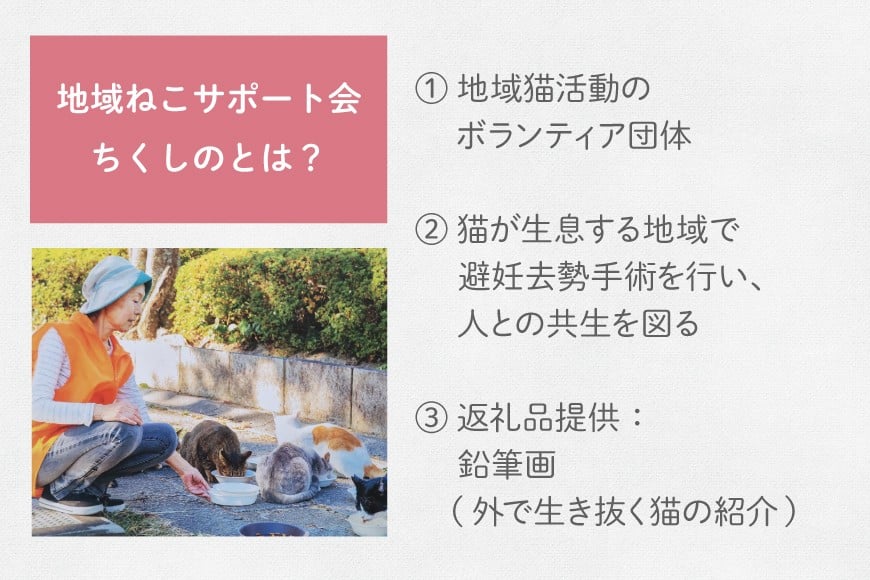 保護猫 支援 猫保護活動への支援 鉛筆画 A5 [地域ねこサポート会ちくしの 福岡県 筑紫野市 21761294] 保護 動物 猫 応援 ネコ ねこ ペット動物愛護 愛護 保護活動 クリポス メール便 メール便対応