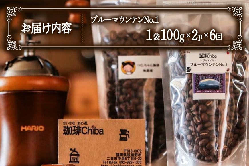 【6回定期便】 コーヒー豆 ブルーマウンテン 100g 2パック [珈琲Chiba 福岡県 筑紫野市 21761424] コーヒー 珈琲 豆 珈琲豆 セット ブルーマウンテンNo.1 ブルマン 豆のまま おいしい coffee bean beans 定期 定期便 6ヶ月 6回