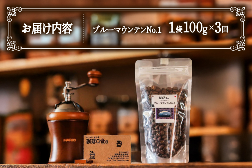【3回定期便】 コーヒー豆 ブルーマウンテン 100g [珈琲Chiba 福岡県 筑紫野市 21761428] コーヒー 珈琲 豆 珈琲豆 セット ブルーマウンテンNo.1 ブルマン 豆のまま おいしい coffee bean beans 定期 定期便 3ヶ月 3回