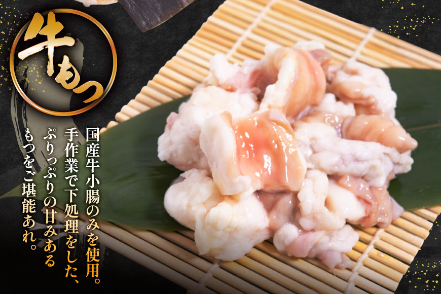 定期便 博多 本格 もつ鍋 2～3人前×6回【老舗人気店】 モツ鍋 もつなべ / 博多もつ鍋 太閤 / 福岡県 筑紫野市 [21760399]