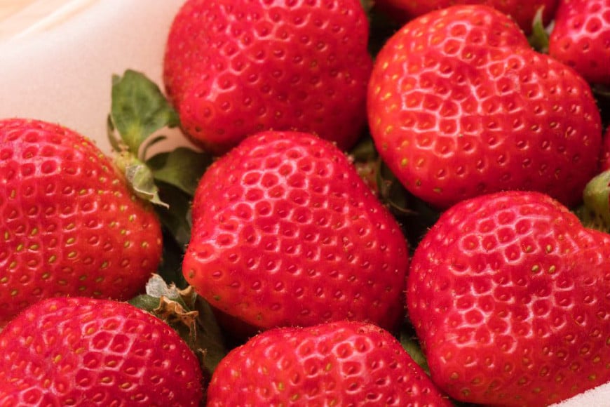 先行受付 博多あまおう 約270g×4 / エイチアンドフューチャーズ / 福岡県 筑紫野市 [21760414] 果物 フルーツ いちご イチゴ 苺 朝採り 新鮮