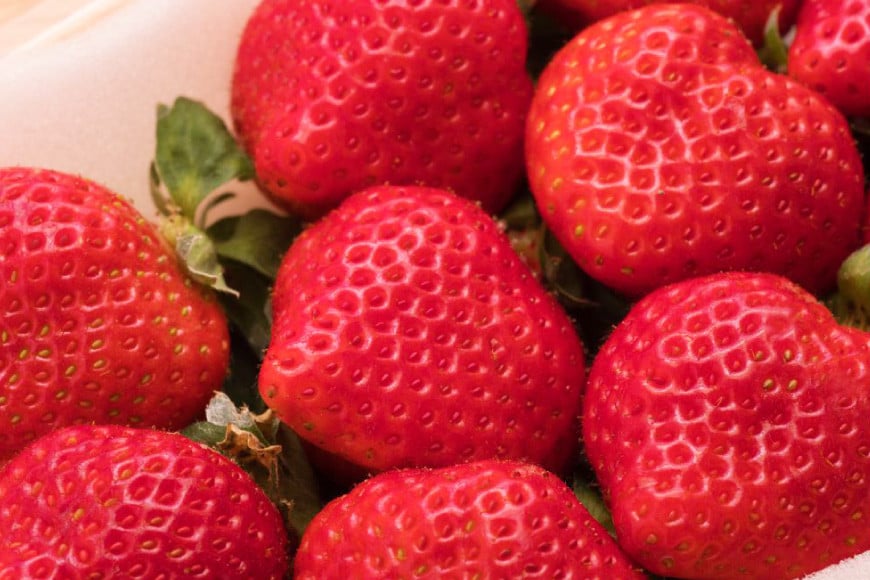 先行受付 【 博多あまおう 】 いちご 約270g×4p / エイチアンドフューチャーズ / 福岡県 筑紫野市 [21760472] 果物 フルーツ いちご イチゴ 苺 朝採り 新鮮