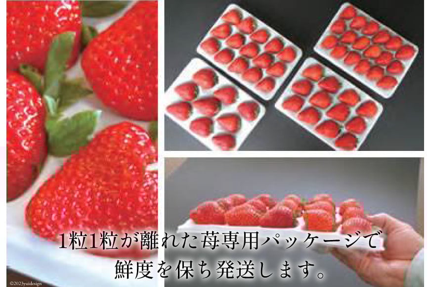 【先行受付】 【3回 定期便 】 いちご 博多 あまおう 約270g×4パック×3回 総計約3.24kg [エイチアンドフューチャーズ 福岡県 筑紫野市 21760527] 果物 フルーツ 苺