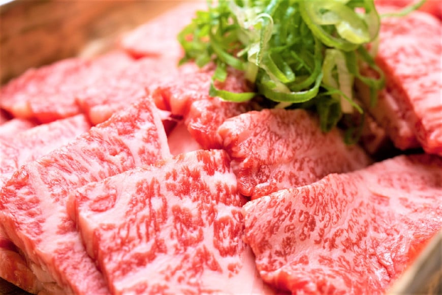 博多和牛 A4以上 焼肉セット 500g [MEAT PLUS 福岡県 筑紫野市 21760740] 肉 牛肉 和牛 黒毛和牛 焼肉 冷凍