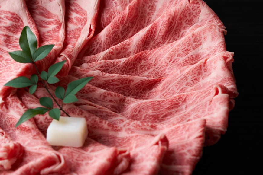 牛肉 【A4～A5】 博多和牛 肩ロース 600g しゃぶすき焼き用 [MEAT PLUS 福岡県 筑紫野市 21761018]