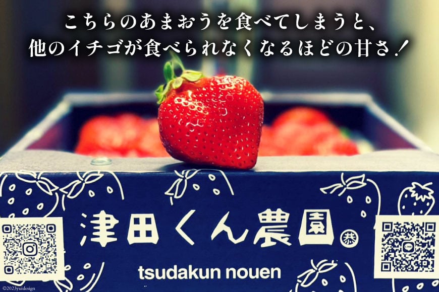 【期間限定発送】 いちご 津田くん農園のあまおう 約1kg [くしだ企画 福岡県 筑紫野市 21761180] 苺 あまおう イチゴ 福岡 期間限定