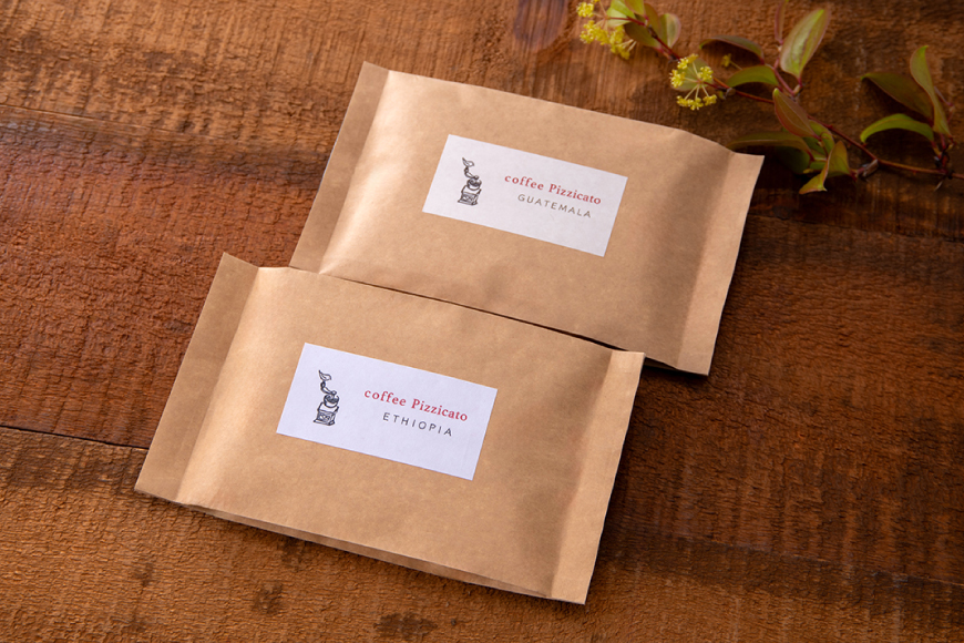 コーヒー豆 100g 2種 (豆のまま) 飲み比べセット [自家焙煎珈琲ぴちかーと 福岡県 筑紫野市 21761244] コーヒー 珈琲 coffee セット ストレートコーヒー