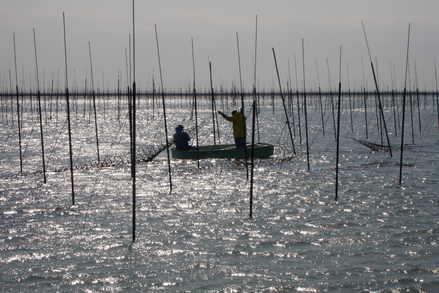 海苔 全形 訳あり 焼き海苔 有明海産 全形20枚入 3袋 計60枚 [木村食品 福岡県 筑紫野市 21761292] 有明 のり 福岡有明のり 福岡有明海苔 有明海苔 有明産 焼のり 焼海苔