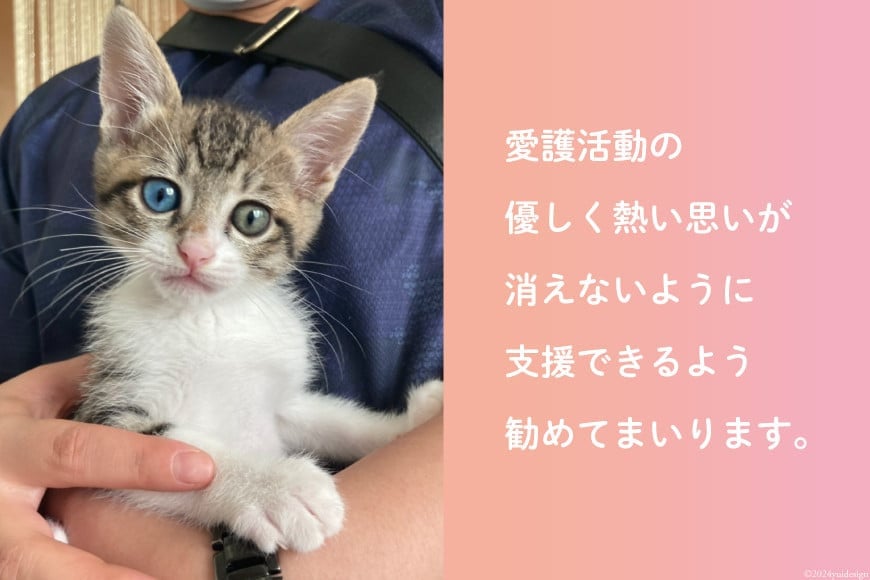 愛護支援、去勢・避妊治療支援 1万円 [Animal Care Salvation 福岡県 筑紫野市 21761394] 動物 ペット 愛護 TNR 保護 動物福祉 保護施設 里親 犬 猫 イヌ ネコ いぬ ねこ 動物愛護 保護活動 支援