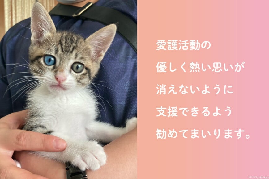 愛護支援 去勢 避妊治療支援 100万円分 [Animal Care Salvation 福岡県 筑紫野市 21761398] 動物 ペット 愛護 TNR 保護 動物福祉 保護施設 里親 犬 猫 イヌ ネコ いぬ ねこ 動物愛護 保護活動 支援