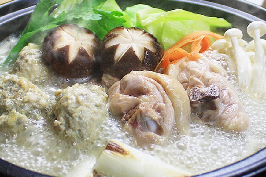 博多の人気鍋2種 セット 九州醤油もつ鍋 2〜3人前 & 博多水炊き(切り身) 2〜3人前 計4～6人前 [ベネフィス 福岡県 筑紫野市 21761414] もつ鍋 モツ鍋 水炊き もつ モツ 醤油 しょうゆ 鶏 鶏肉 とり肉 国産 冷凍