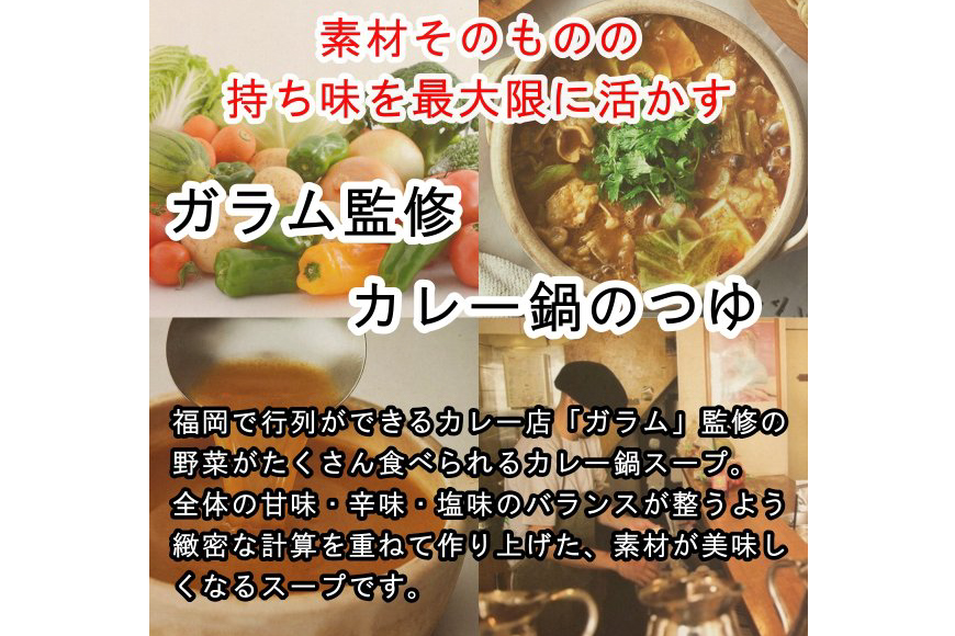 カレー鍋のつゆ 4人前 500g×2 うどん 100g×4 スパイス付 [キヨトク 福岡県 筑紫野市 21760718] カレー 鍋 鍋の素 出汁 スープ 本格カレー