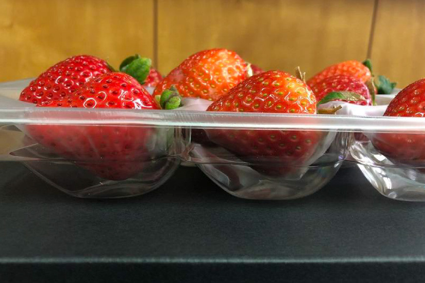 先行受付 【 博多あまおう 】 いちご 約270g×2p / エイチアンドフューチャーズ / 福岡県 筑紫野市 [21760471] 果物 フルーツ いちご イチゴ 苺 朝採り 新鮮