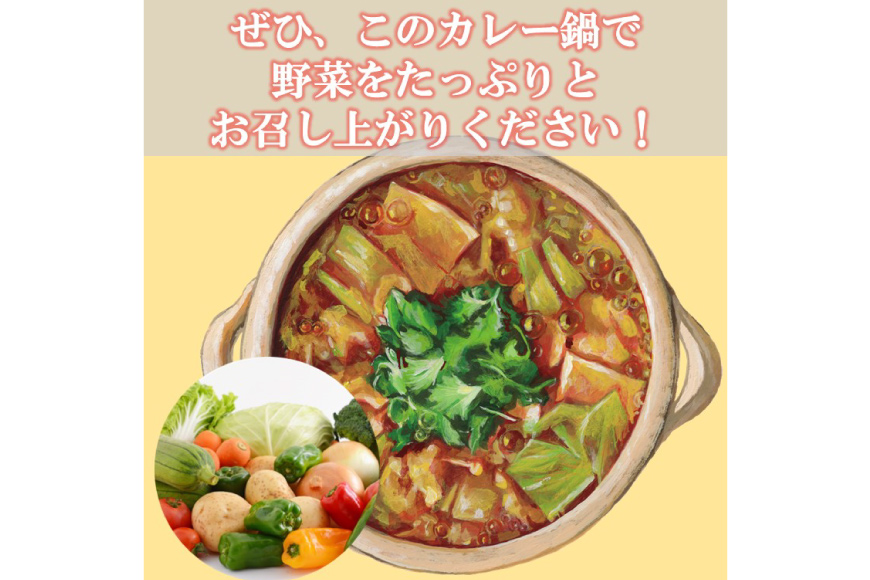 カレー鍋のつゆ 4人前 500g×2 スパイス付 [キヨトク 福岡県 筑紫野市 21760717] カレー 鍋 鍋の素 出汁 スープ 本格カレー