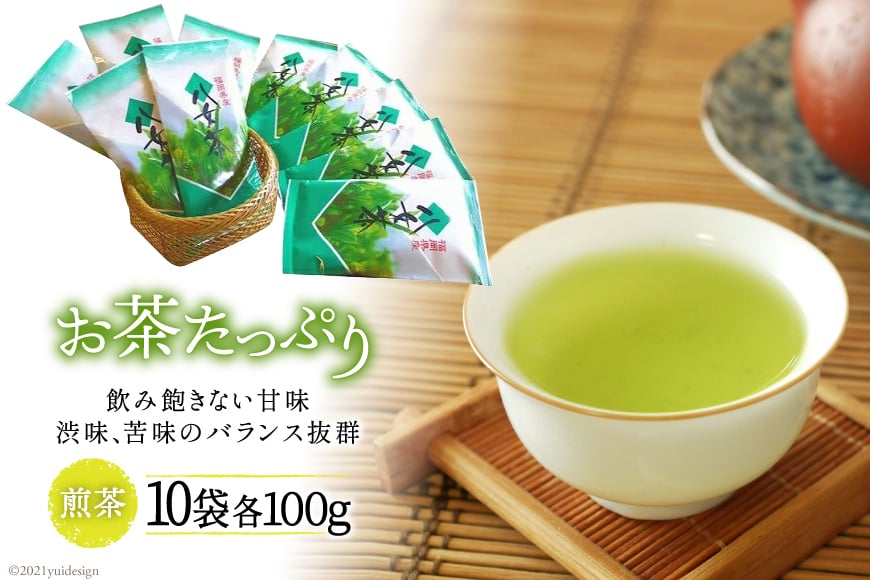 20005.お茶たっぷり１０袋セット＜お茶の星陽園　二日市店＞【福岡県筑紫野市】