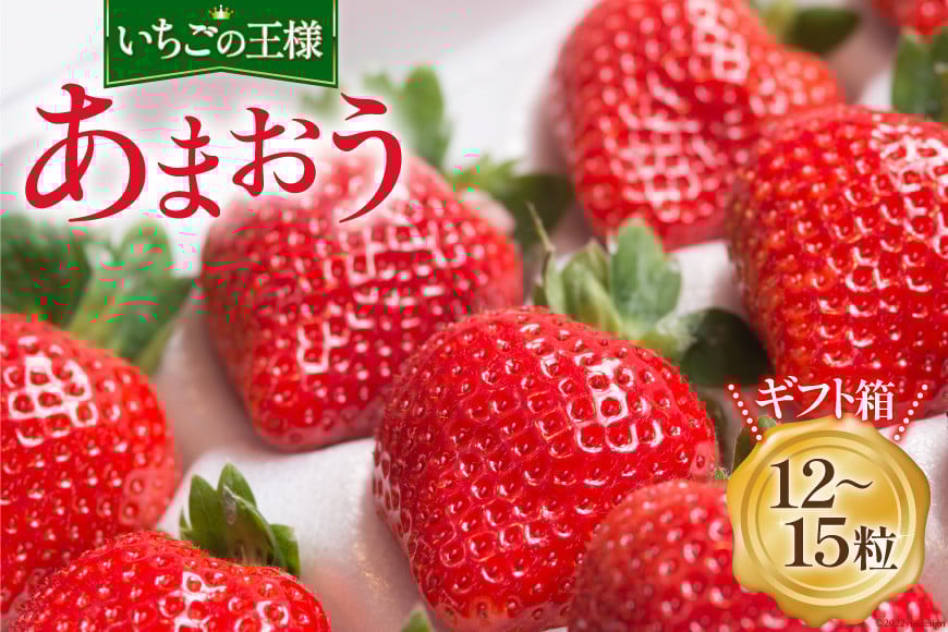 【期間限定発送】大粒で真っ赤な果肉 溢れ出す果汁 福岡産 あまおう 12-15粒 ギフト箱 [南国フルーツ 福岡県 筑紫野市 21760094] 苺 いちご イチゴ フルーツ 果物 くだもの 冷蔵