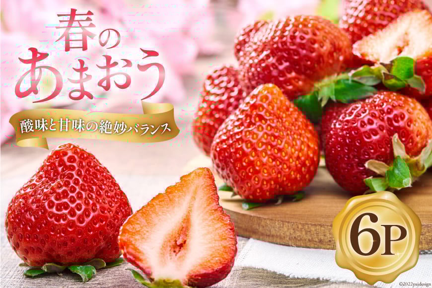 【期間限定発送】 いちご 春の苺 あまおう 6パック [南国フルーツ 福岡県 筑紫野市 21760095] いちご 苺 イチゴ フルーツ 果物 期間限定 季節限定 福岡県産 甘い 春苺