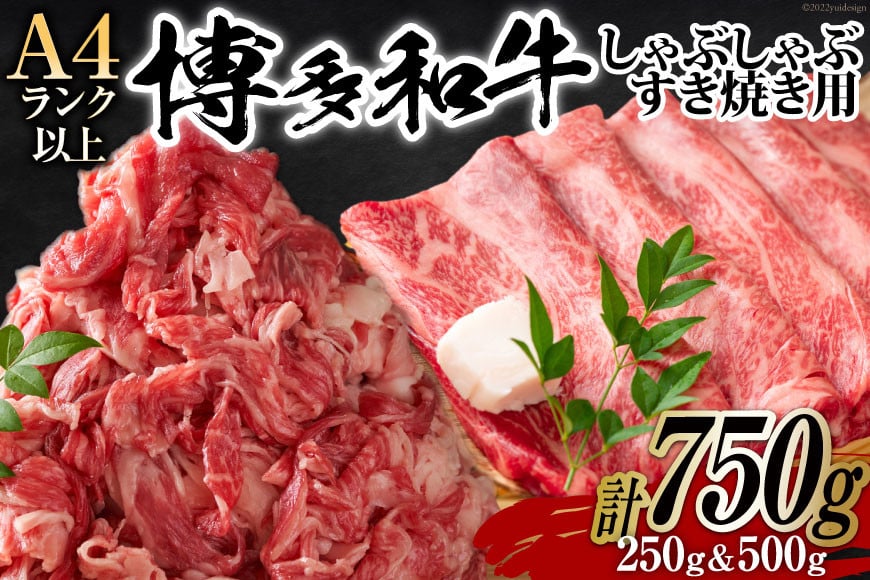 訳あり 博多和牛 A4以上 しゃぶしゃぶ すき焼き スライス 250g & 切り落とし 500g 計750g【部位おまかせ】/ MEAT PLUS / 福岡県 筑紫野市 [21760211] 牛肉
