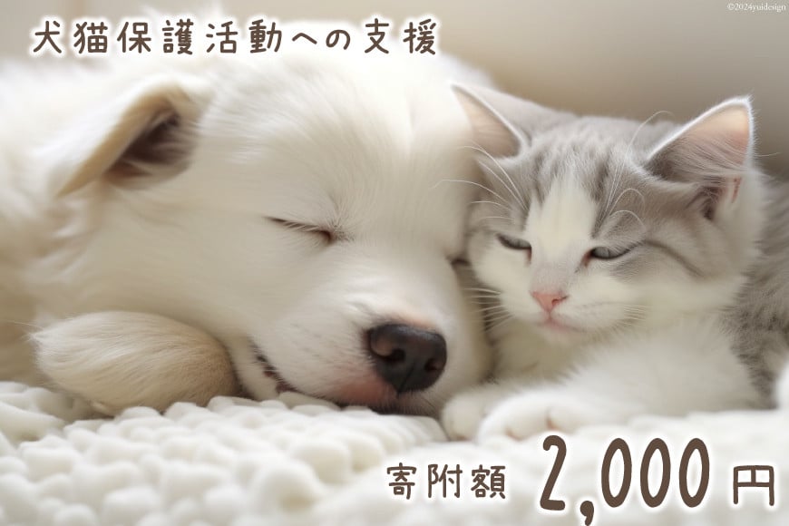 犬猫保護活動への支援 2000円 [NPO法人セブンデイズ 福岡県 筑紫野市 21760723] 保護 動物 犬 猫 犬猫 保護犬 支援 応援 イヌ ネコ いぬ ねこ ペット動物愛護 愛護 保護活動