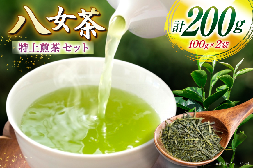 お茶 八女茶 特上 煎茶セット 100g 2袋 [木村食品 福岡県 筑紫野市 21761041] 茶葉 やめちゃ お茶の葉