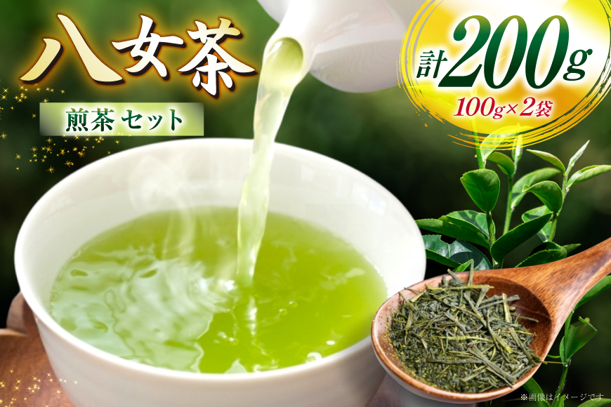 お茶 八女茶 煎茶 セット 100g 2袋 [木村食品 福岡県 筑紫野市 21761043] 茶葉 やめちゃ お茶の葉