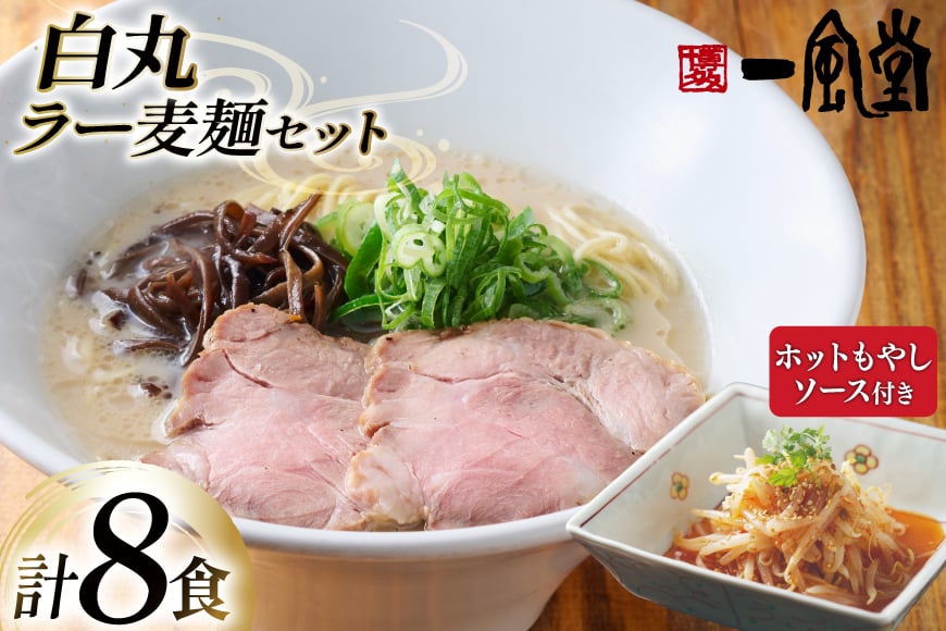 ラーメン 九州 一風堂 白丸ラー麦麺 ホットもやし ソース セット [フーデリジェンス 福岡県 筑紫野市 21761092] 博多 ラーメンセット らーめん 細麺 とんこつ とんこつラーメン