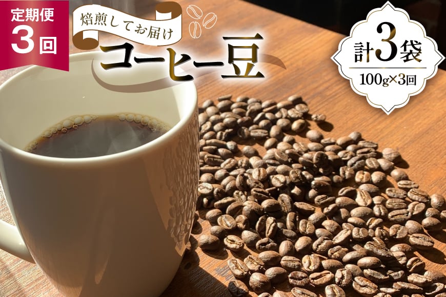 コーヒー豆 3ヶ月 定期便 100g×3 [いち日のはじまり 福岡県 筑紫野市 21761469] コーヒー 珈琲豆 珈琲 豆