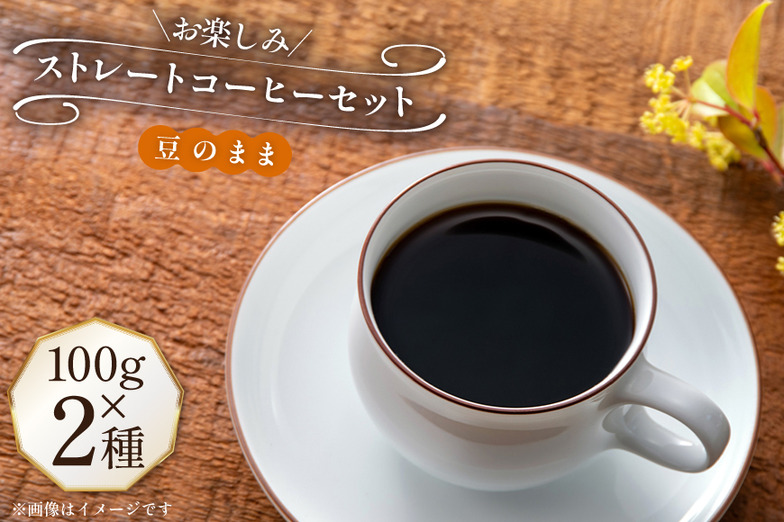 コーヒー豆 100g 2種 (豆のまま) 飲み比べセット [自家焙煎珈琲ぴちかーと 福岡県 筑紫野市 21761244] コーヒー 珈琲 coffee セット ストレートコーヒー