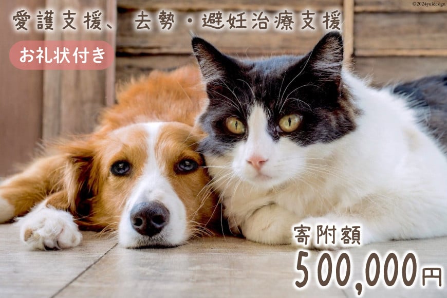 愛護支援 去勢 避妊治療支援 50万円分 [Animal Care Salvation 福岡県 筑紫野市 21761397] 動物 ペット 愛護 TNR 保護 動物福祉 保護施設 里親 犬 猫 イヌ ネコ いぬ ねこ 動物愛護 保護活動 支援