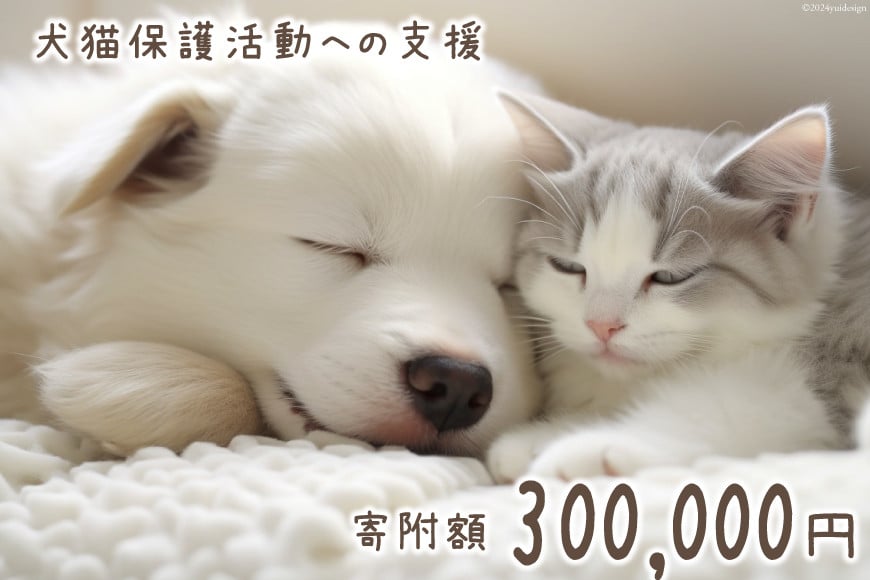 犬猫保護活動への支援 30万円 [NPO法人セブンデイズ 福岡県 筑紫野市 21761401] 保護 動物 犬 猫 犬猫 保護犬 支援 応援 イヌ ネコ いぬ ねこ ペット動物愛護 愛護 保護活動