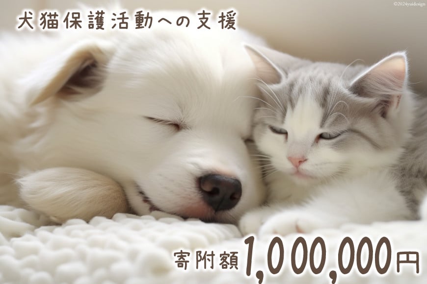 犬猫保護活動への支援 100万円分 [NPO法人セブンデイズ 福岡県 筑紫野市 21761403] 保護 動物 犬 猫 犬猫 保護犬 支援 応援 イヌ ネコ いぬ ねこ ペット動物愛護 愛護 保護活動