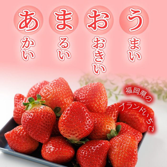 ＜先行予約受付中！2025年12月上旬～2026年1月下旬に順次発送予定＞ 博多あまおう・冬 (計約500g) いちご 苺 フルーツ 果物 くだもの 福岡限定 家庭用 冷蔵＜離島配送不可＞【ksg1736】【農産物直売所ほたるの里】