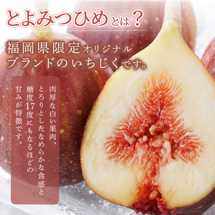 ＜先行予約受付中！2026年8月下旬～2025年10月下旬に順次発送予定＞福岡県ブランドいちじく博多 とよみつひめ (計約1.2kg・300g×4P) いちじく イチジク フルーツ 果物 くだもの 福岡限定 ＜離島配送不可＞【ksg1750】【農産物直売所ほたるの里】