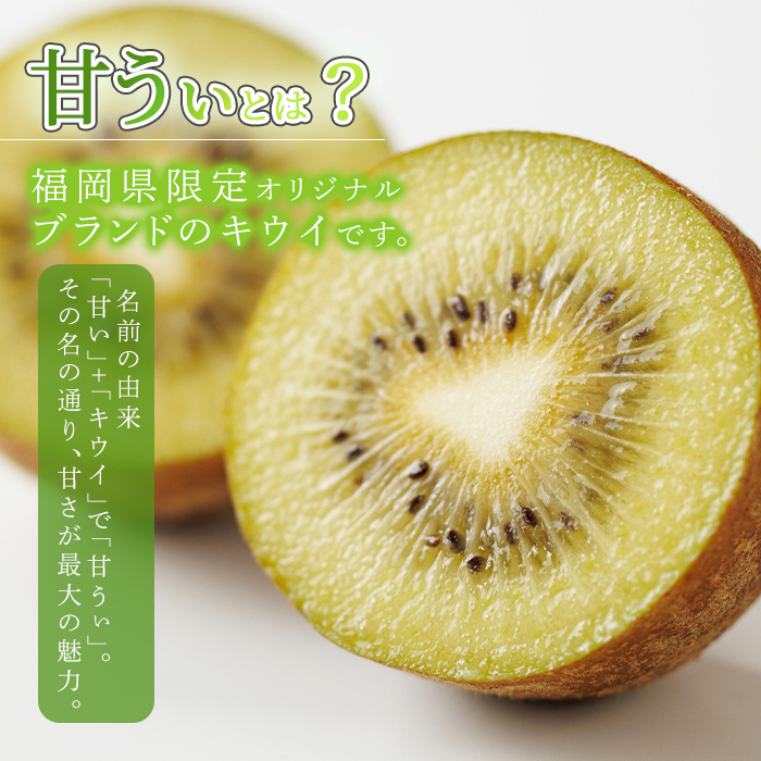 ＜先行予約受付中！2026年11月上旬～11月下旬に順次発送予定＞福岡県ブランド キウイフルーツ 博多 甘うぃ (約計3.6kg：20～27玉) キゥイ キューイ キュウイ あまうぃ フルーツ 果物 くだもの 福岡限定 ＜離島配送不可＞【ksg1751】【農産物直売所ほたるの里】