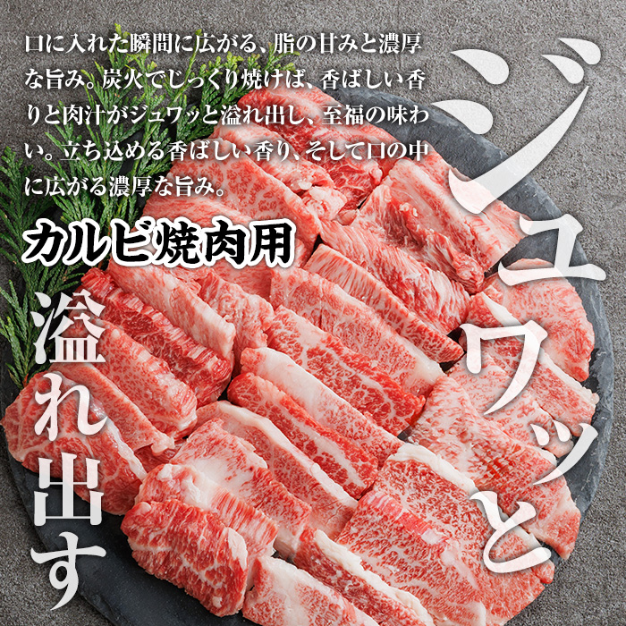 A4~A5 博多和牛焼肉用3種盛りセット (合計530g) 牛肉 肉 お肉 精肉 国産牛 ブランド牛 和牛 希少部位 赤身 霜降り ミスジ 小分け パック 使い勝手 冷凍 焼肉 セット 盛り合わせ BBQ アウトドア キャンプ グルメ おすすめ 人気【ksg1766】【朝ごはん本舗】