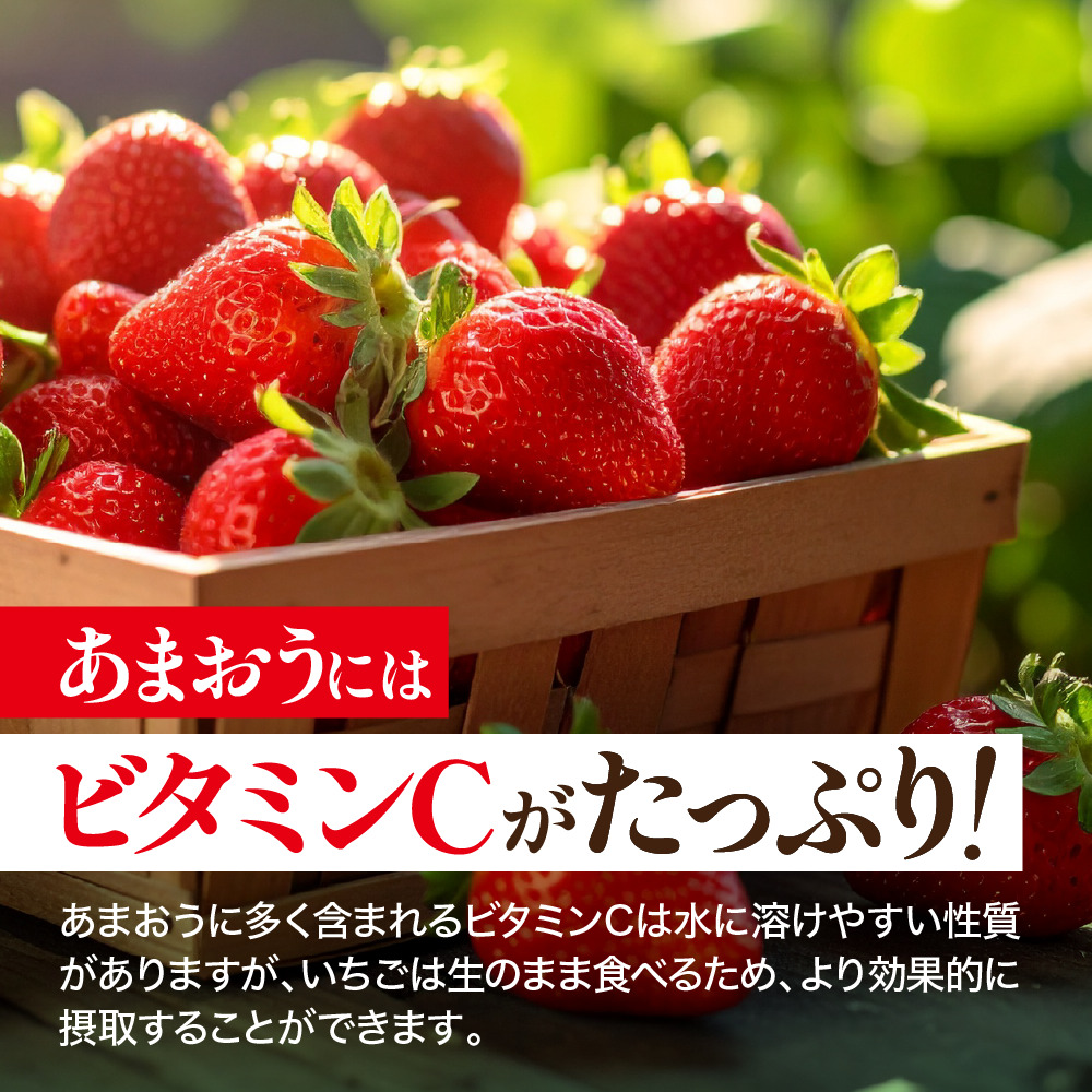 ＜予約受付中！2026年1月上旬より順次発送予定＞福岡県産 あまおう(計約560g・280g×2P) 苺 いちご イチゴ 果物 フルーツ 国産 福岡県 ヨーグルト ジャム スムージー 冷蔵 ONEGO ＜離島配送不可＞【ONEGO】【ksg1804】