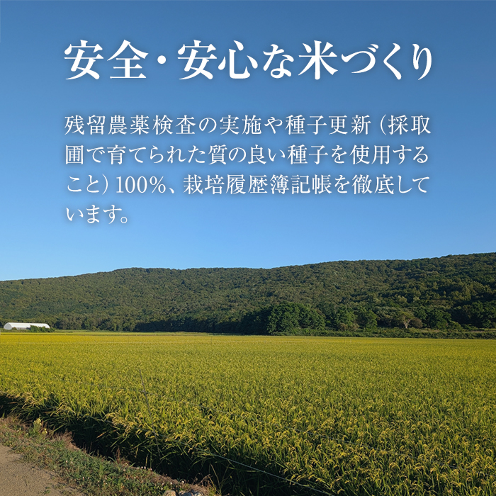 ＜数量限定＞JAよりお届け！福岡県産米 元気つくし (計10kg)お米 おこめ 米 こめ コメ 白米 福岡県産 ブランド米 常温 常温保存【農産物直売所ほたるの里】【ksg1814】