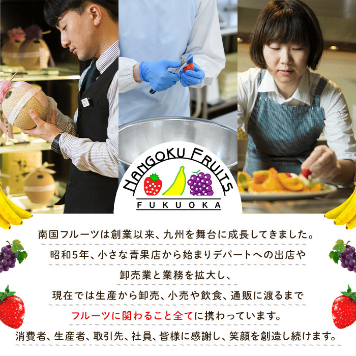 ＜先行予約受付中！2026年4月より順次発送＞苺の王様！冷凍あまおう苺(計2kg・約500g×4袋)ふるさと納税 春日市 特産品 いちご イチゴ 冷凍 シャーベット ヨーグルト ジャム＜離島配送不可＞【ksg0065】【南国フルーツ】