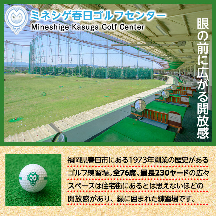 ミネシゲ春日ゴルフセンター ゴルフ練習ボール引換券(11枚綴り) ゴルフボール チケット ゴルフ 練習場【ksg0149】【ミネシゲ春日ゴルフセンター】