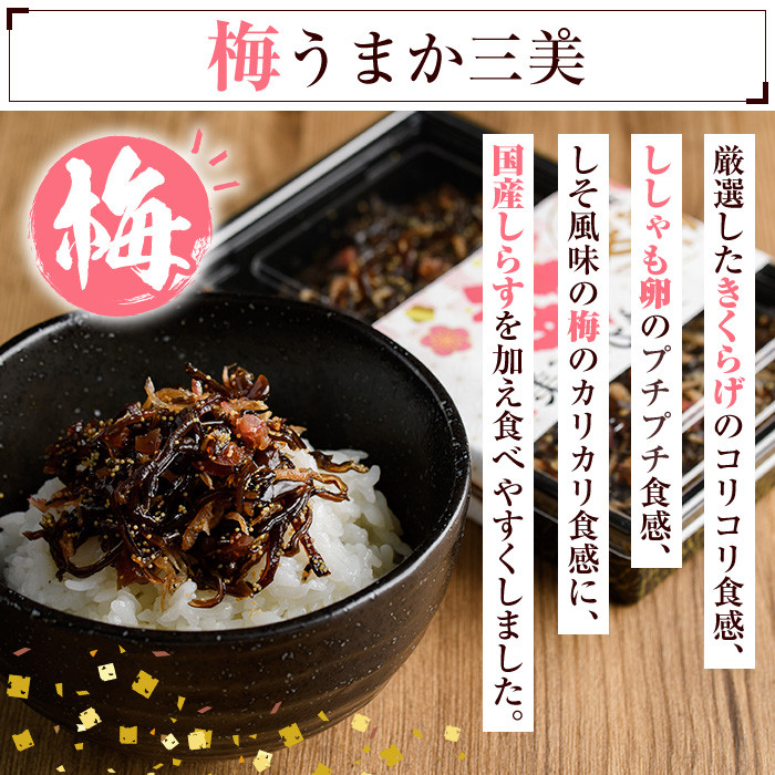博多うまか三美つくだ煮セット(計760g)辛子高菜 明太高菜 佃煮 つくだ煮 きくらげ ご飯 おにぎり おつまみ 惣菜＜離島配送不可＞【ksg0534】【和生】