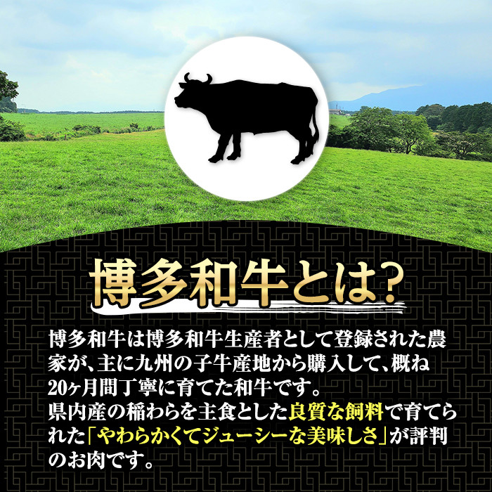 博多和牛の黄金カレー(200g×4袋)国産 和牛 博多和牛 牛肉 カレー 冷凍カレー ビーフカレー 簡単 小分け【ksg1273】【株式会社くしだ企画】