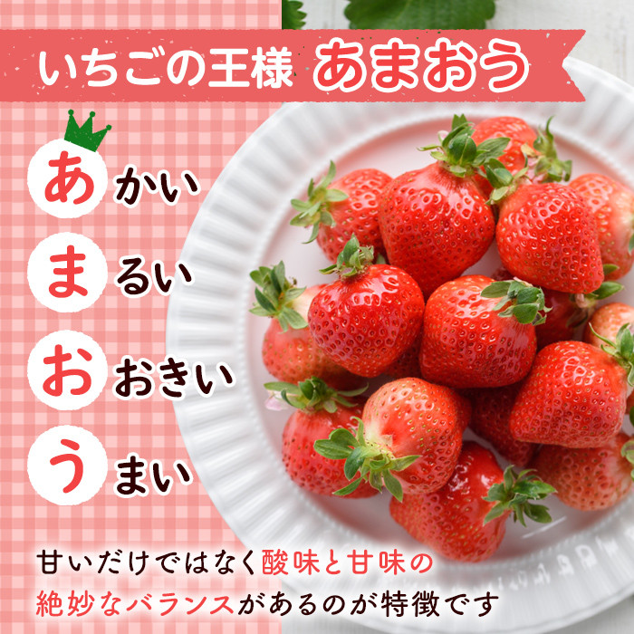 福岡県産いちご あまおうムースケーキ (1個 サイズ:20cm×8cm×4cm)苺 フルーツ 果物 デザート スイーツ おやつ アイスケーキ 数量限定＜離島配送不可＞【ksg1300】【よっちゃんファーム】