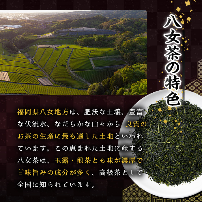 八女茶 煎茶ティーバッグ(計150g・3g×50P)緑茶 せん茶 お茶 許斐本家 福岡 やめ ティーパック  常温 常温保存【ksg1317】【くしだ企画】