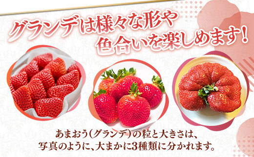 ＜先行予約受付中！2026年1月より順次発送予定＞福岡県産 あまおう(計約1kg・250g×4P)いちご 苺 フルーツ 果物 くだもの 冷蔵 ＜離島配送不可＞【ksg1490】【エフビーネット】