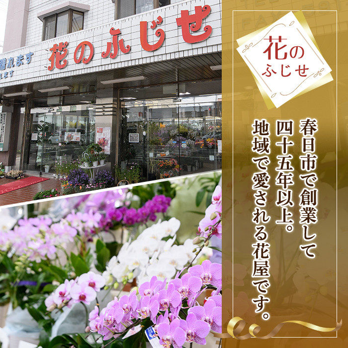 プロにおまかせ！フラワーアレンジメント(1個：約高さ30cm幅30cm)花 ギフト プレゼント 生花 花束 記念日 お祝い＜離島配送不可＞【ksg1535】【花のふじせ】